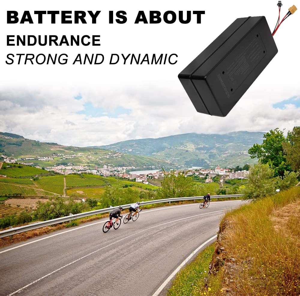 36V 10Ah (216Wh) Ebike Battery & Motor Conversion Kit - 250W Max Power