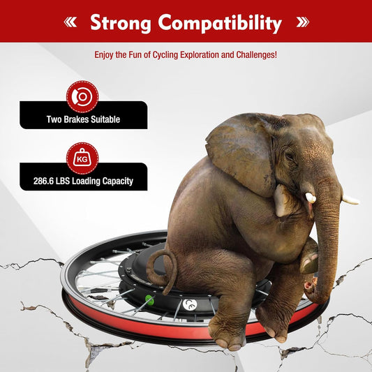 1000W E-Bike Conversion Kit - Rear Wheel for 28"/29"/700C with 5-Speed, Display & PAS | 264 lbs Capacity